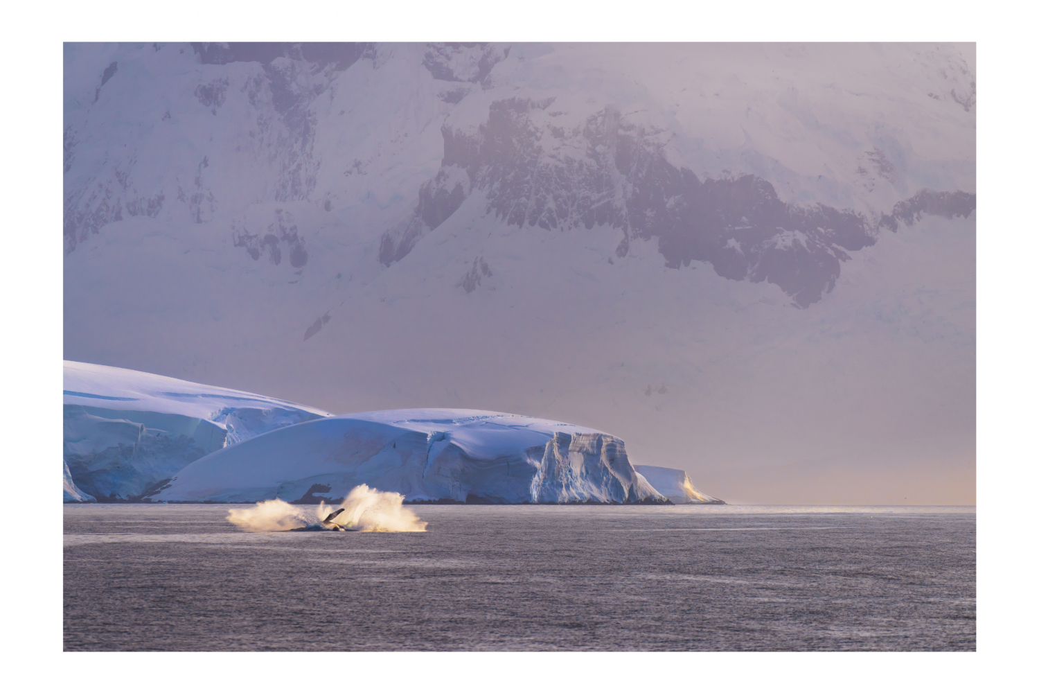 Antarctica